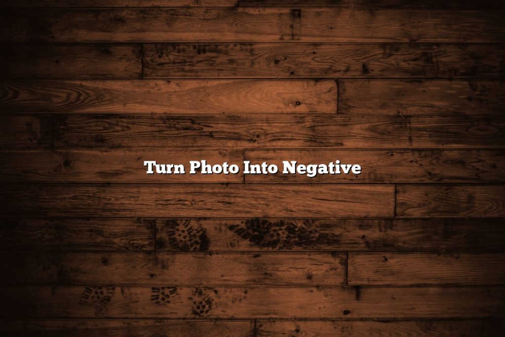 turn-photo-into-negative-november-2022-tomaswhitehouse